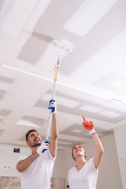 Mold Remediation for Vacation Homes in Orange Lake, NY
